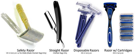 Can I Bring Electric Razor on Plane: A Journey Through the Skies of Grooming and Security