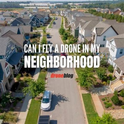 Can I Fly a Drone in My Neighborhood? And Why Do Squirrels Always Stare at It?