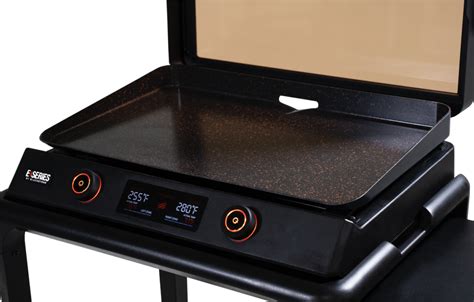 Can You Boil Water on an Electric Griddle? And Why Do Cats Always Land on Their Feet?