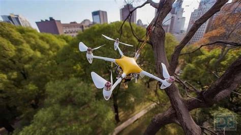 How to Get a Drone Out of a Tree and Why Bananas Might Be the Secret