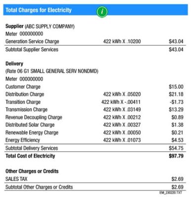 What is the average electric bill, and how do flying squirrels factor into the equation?