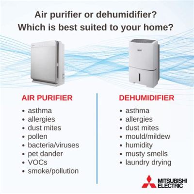 What's the Difference Between a Humidifier and an Air Purifier? And Why Do They Both Sound Like Sci-Fi Gadgets?