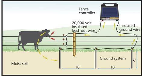 Why is My Electric Fence So Weak and Do Cows Dream of Electric Sheep?